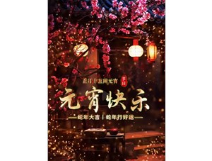 山东镁嘉图携手全体员工恭祝大家元宵节快乐！